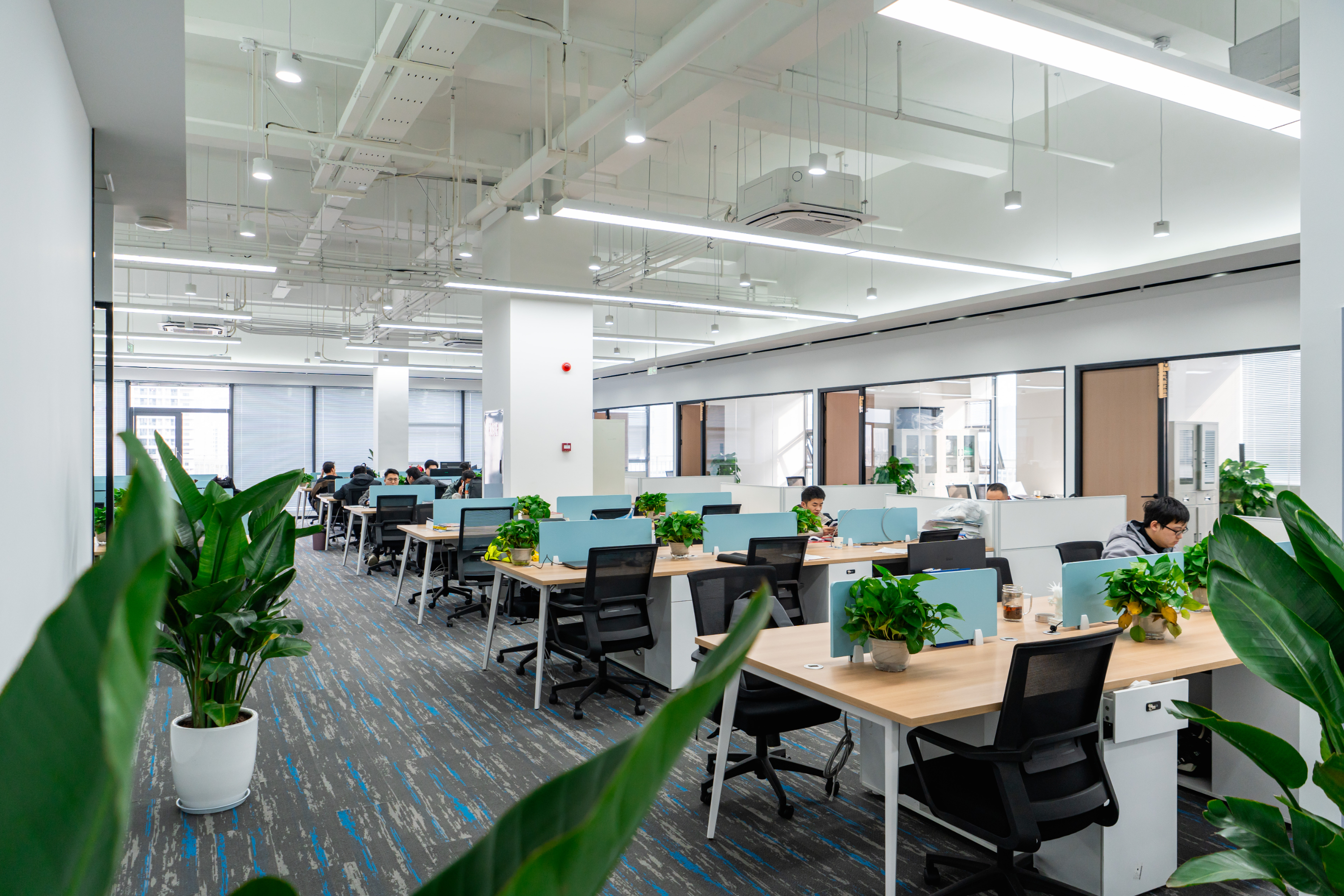 办公室环境